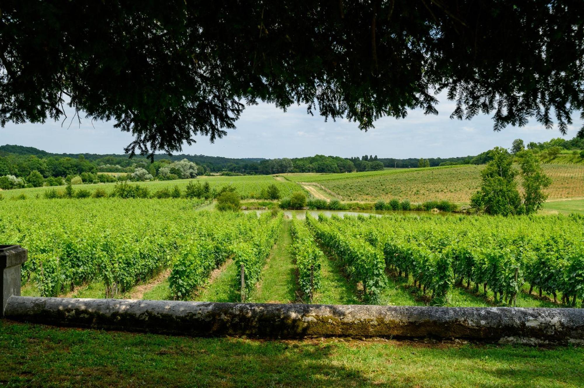Pey La Tour - Logis Hotels & Restaurant Salleboeuf Exterior photo