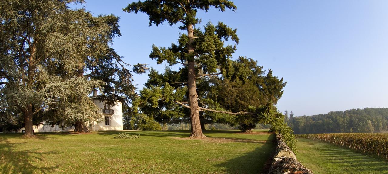Pey La Tour - Logis Hotels & Restaurant Salleboeuf Exterior photo
